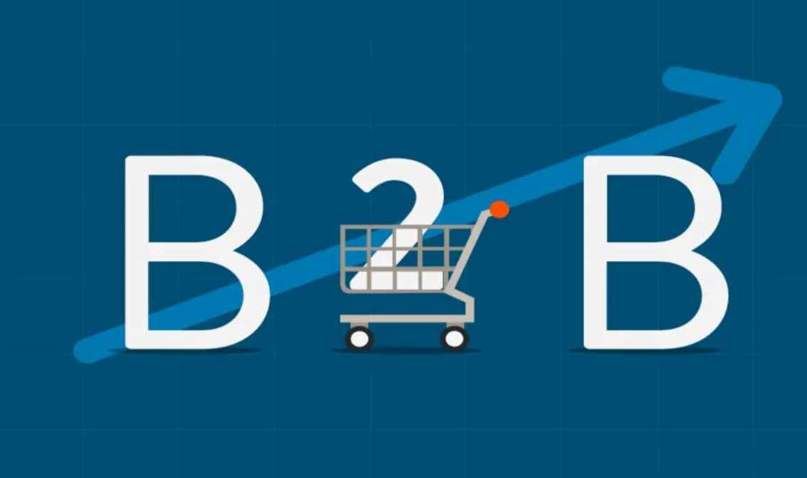 Things to Consider Before Selecting a B2B eCommerce Software
