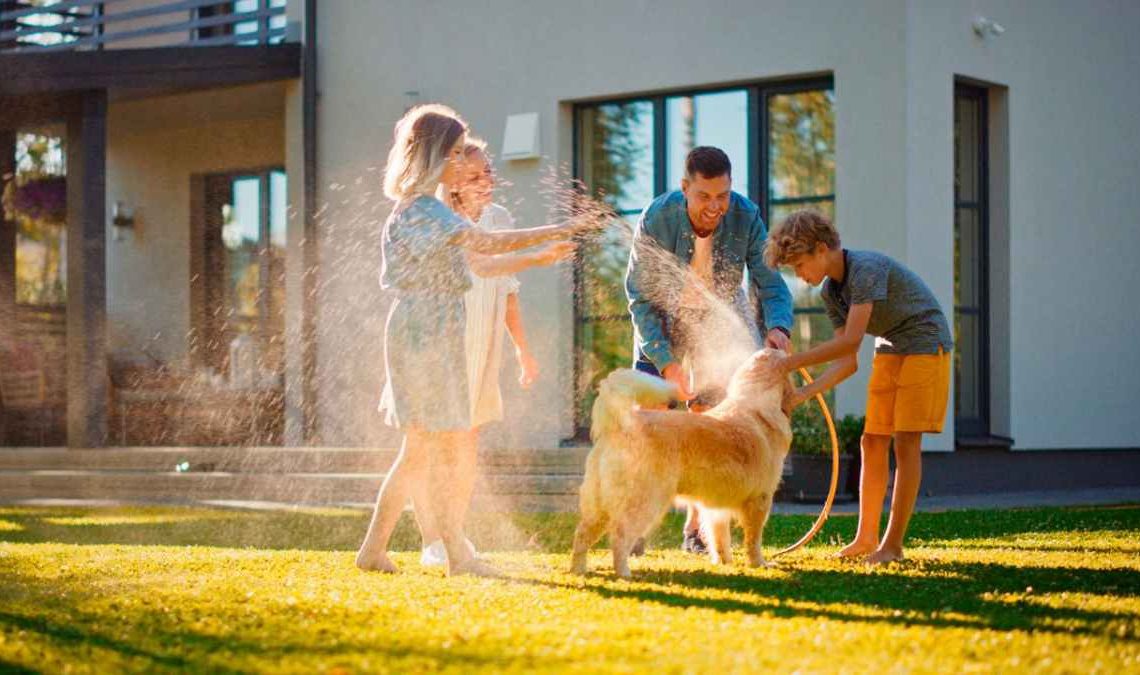 Top 8 Pet-Friendly Communities in Dubai