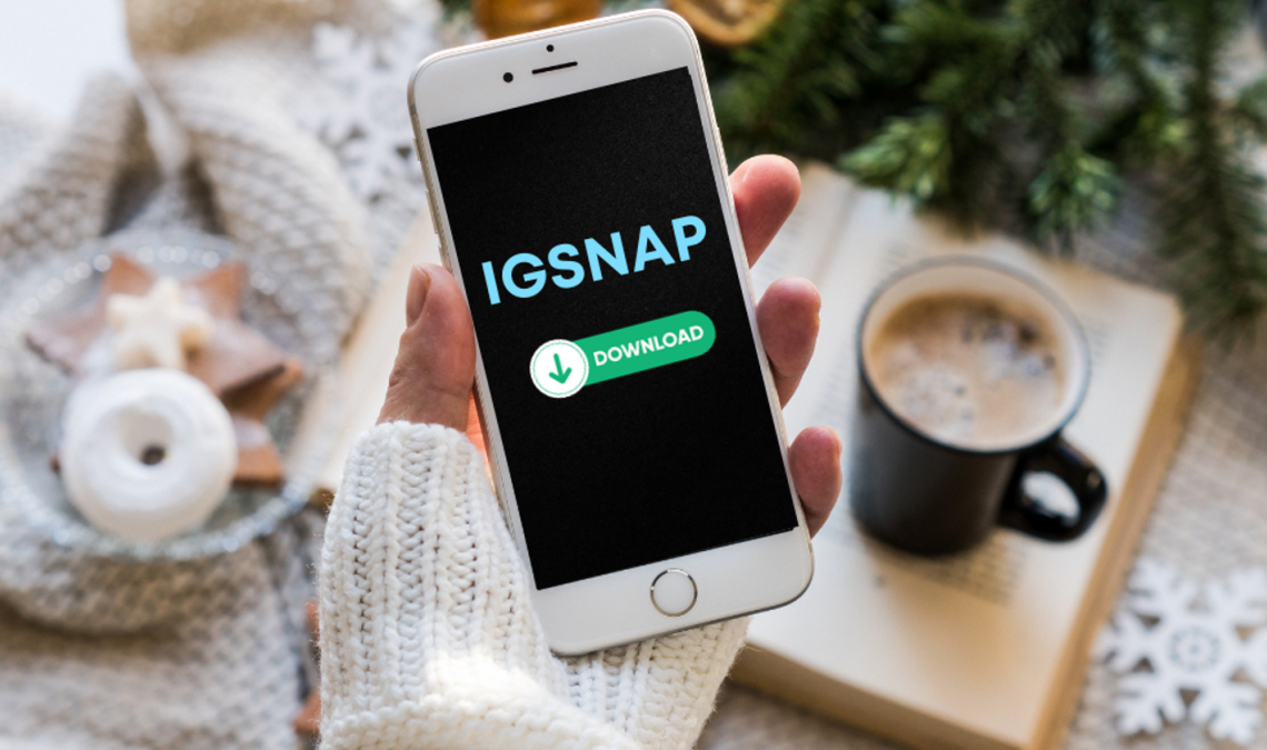 Igsnap Redefining Instagram Interaction for Android Users