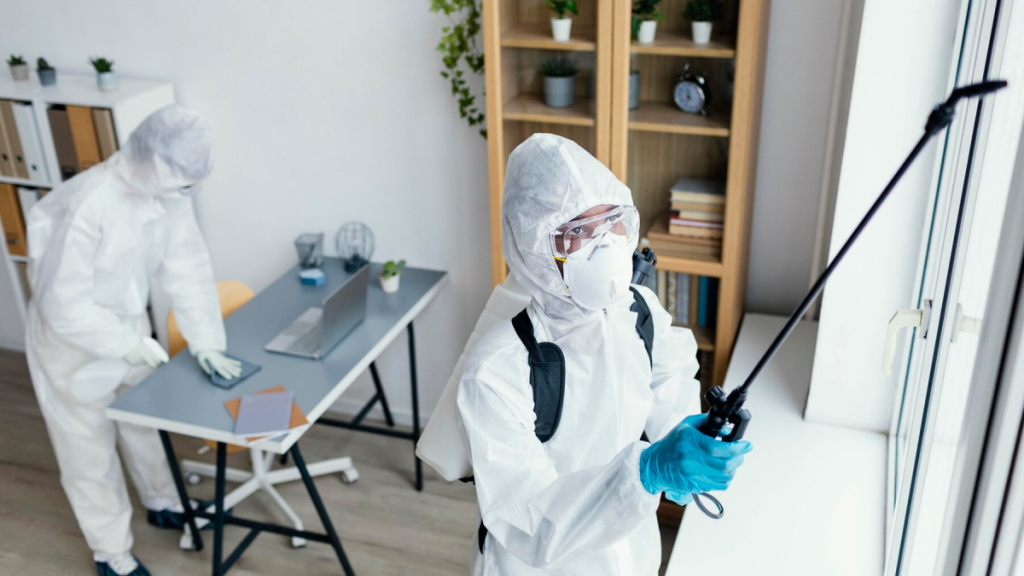 The Importance of Good Commercial Mold Removal