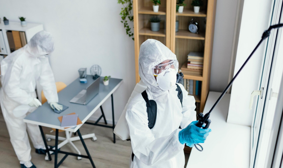 The Importance of Good Commercial Mold Removal