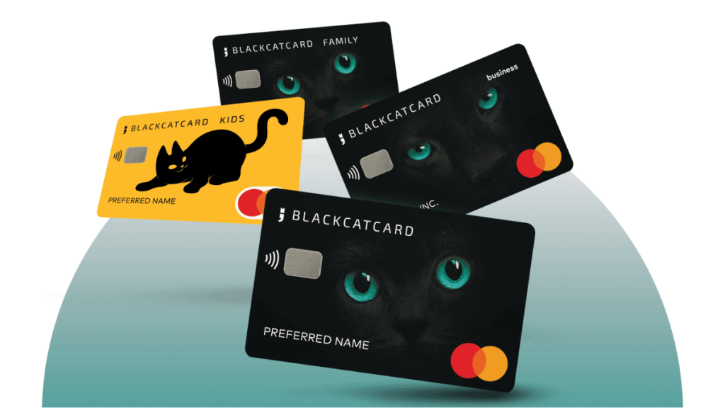 Revolutionizing Digital Finance How Blackcat Company Is Changing the Way We Bank