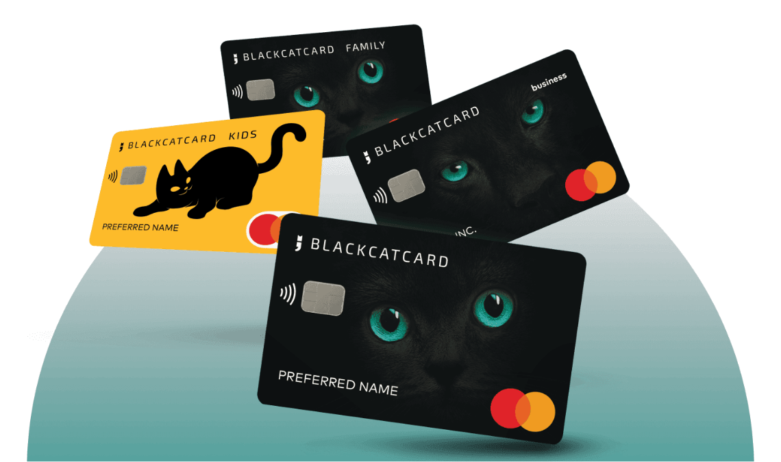 Revolutionizing Digital Finance How Blackcat Company Is Changing the Way We Bank